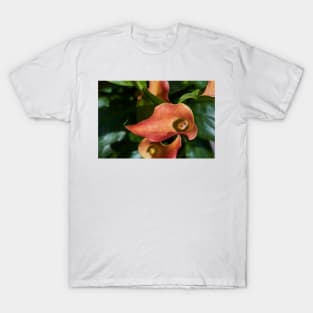 Red calla flowers closeup T-Shirt